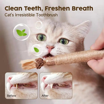 Cat Dental Chew Sticks