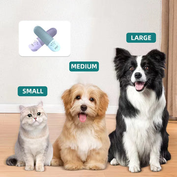 (Bundle Exclusive) Gentle Pet Toothbrush