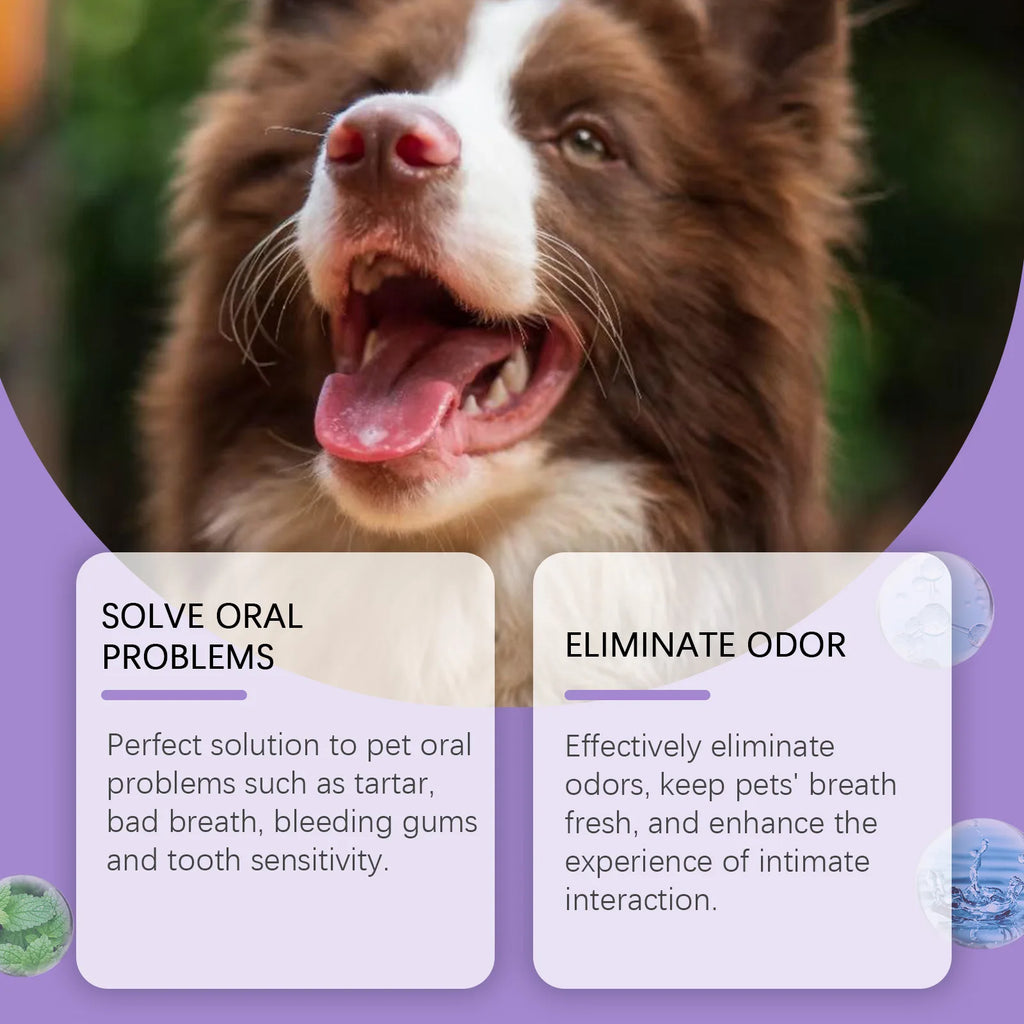 Sf1268efd1c3f44beacc92504163289c69